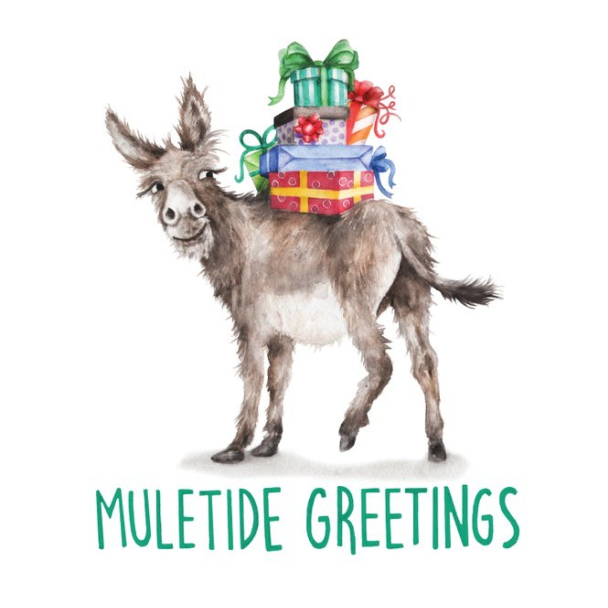 Moonpig Donkey Muletide Greetings Card, Square