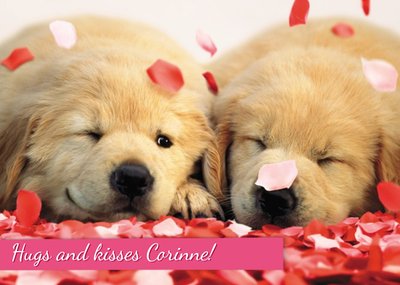 Cute Napping Puppies Personalised Valentine's Day Card