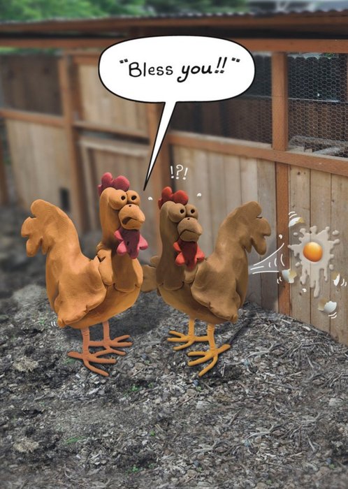 Funny Illustrated Hens Bless You Card