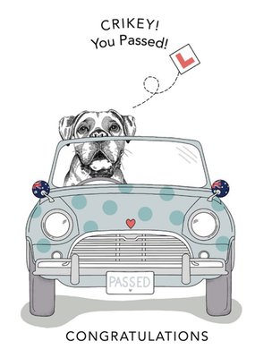 Dotty Dog Art Illustrated Dog Passed Driving Test Card