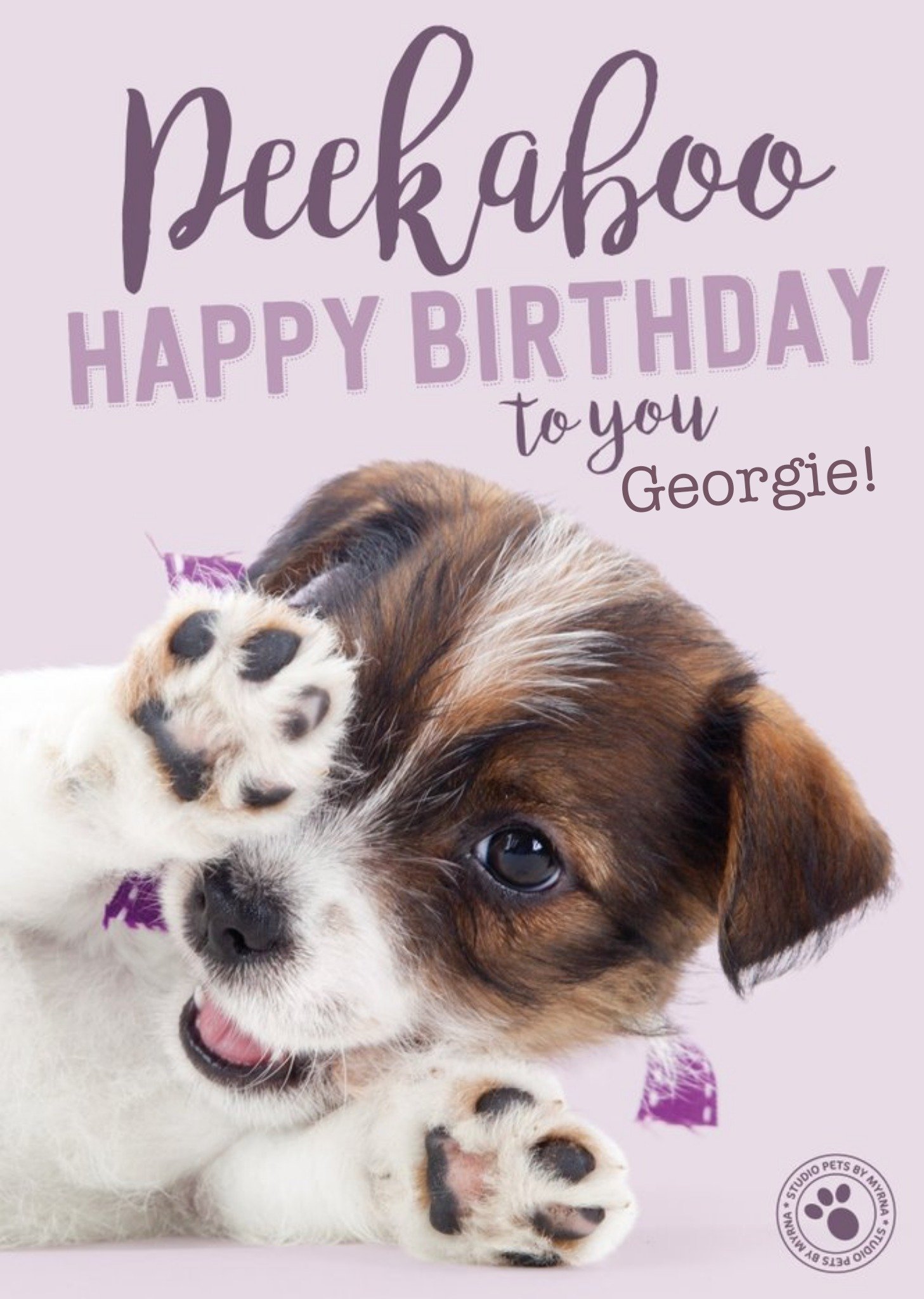 Studio Pets Peekaboo Personalised Text Birthday Card, Large