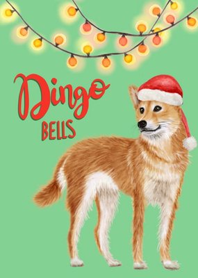 Citrus Bunn Illustration Funny Fairy Lights Dingo Christmas Australia Card