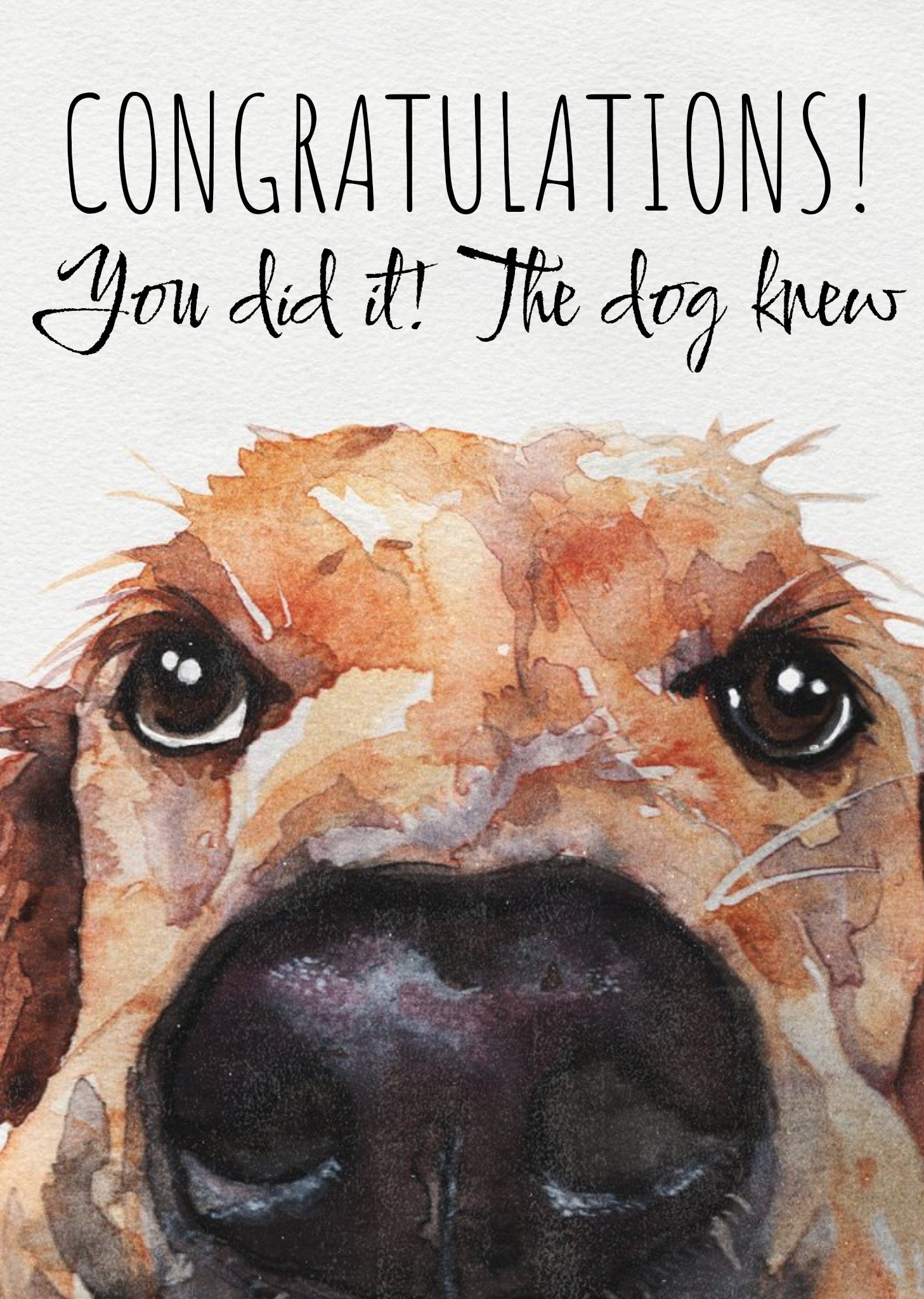 Watercolour Illustration Labrador Dog Close Up Congratulations Card Ecard