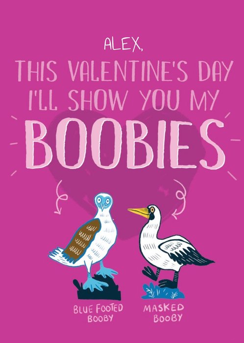 Funny Illustrated Booby Birds Valentines Card