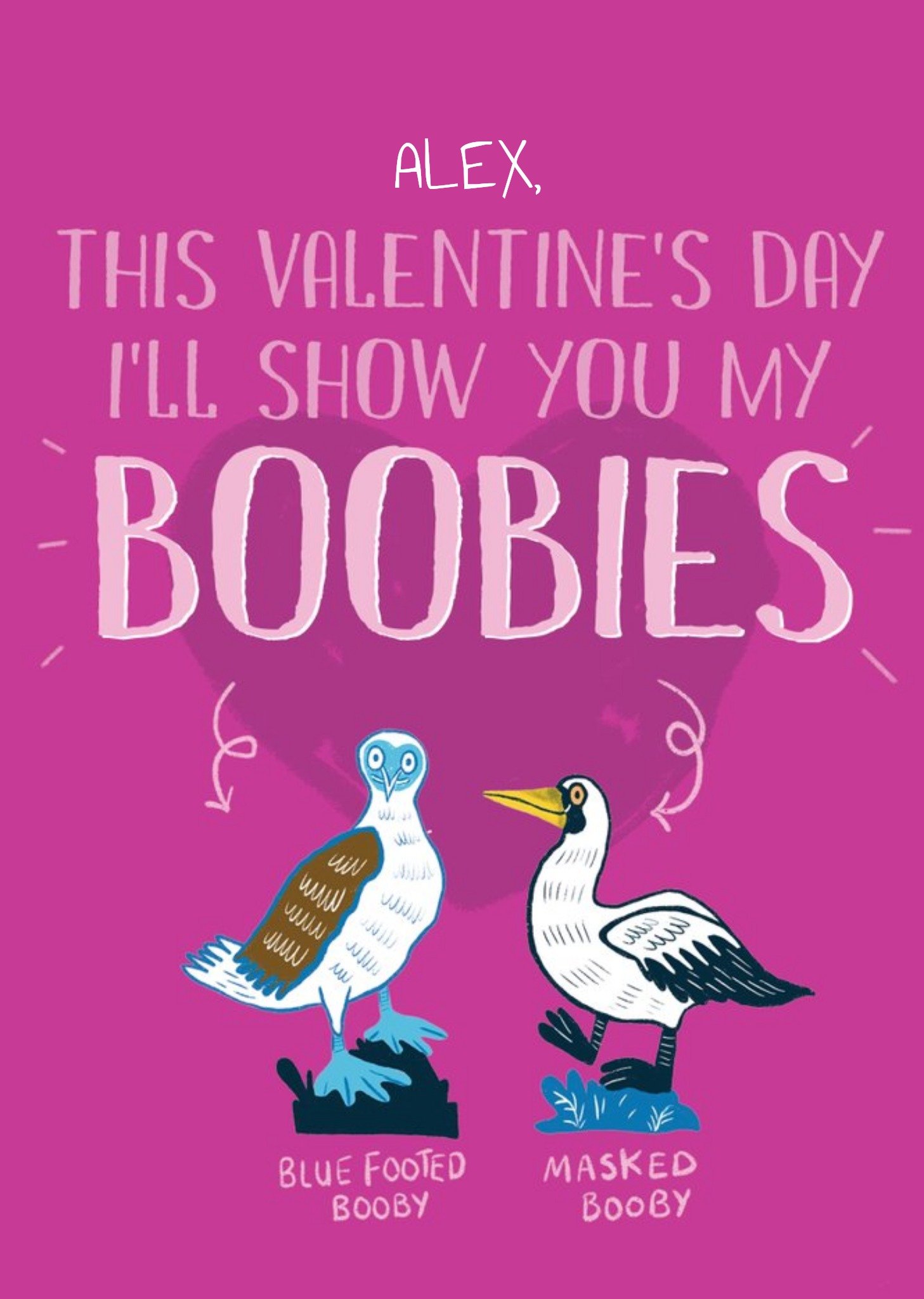 Funny Illustrated Booby Birds Valentines Card Ecard