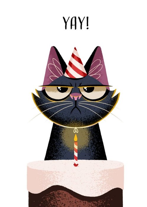 Folio Cat Yay Cake Birthday Card