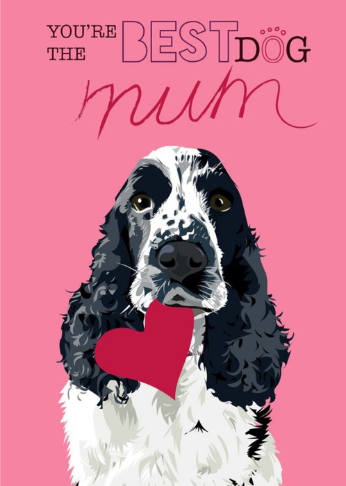 Illustrated Youre The Best Dog Mum Birthday Card