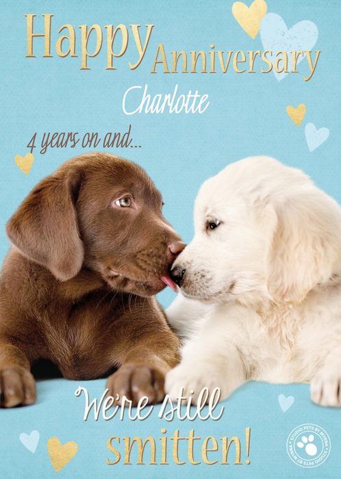 Smitten Puppies Personalised Happy 4th Anniversary Card