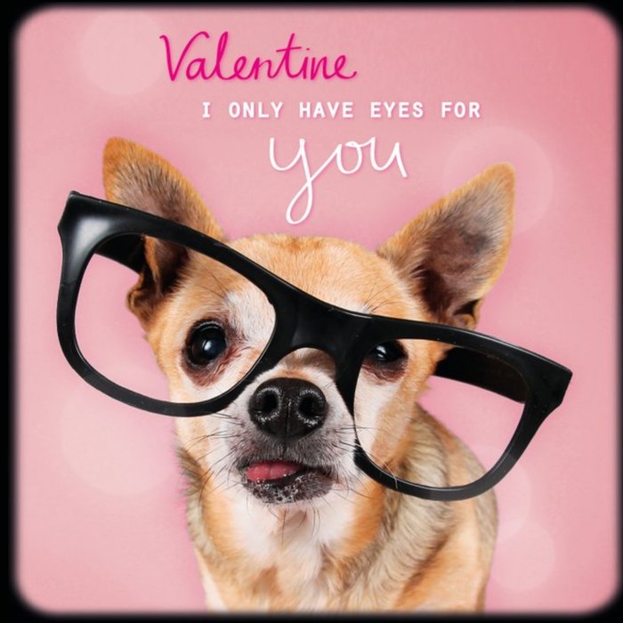 Chihuahua With Glasses Personalised Happy Valentine's Day Card