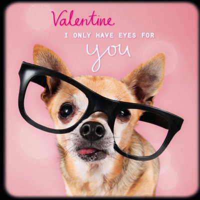 Chihuahua With Glasses Personalised Happy Valentine's Day Card