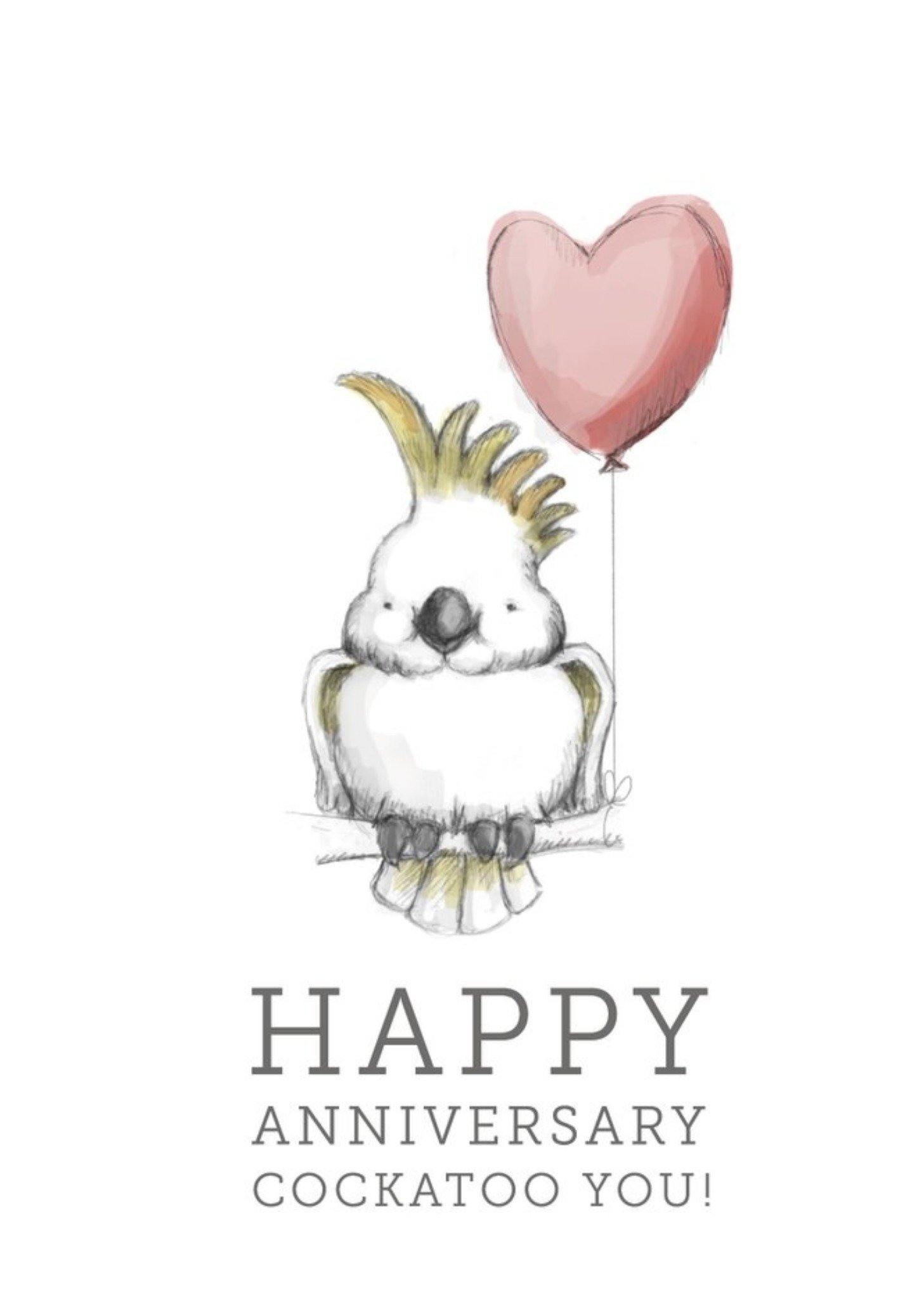 Illustration Of A Pair Of Cockatoos With Heart Shaped Balloons Anniversary Card