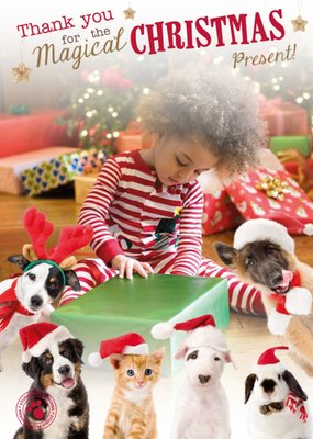Cute Pets In Santa Hats Photo Upload Christmas Card
