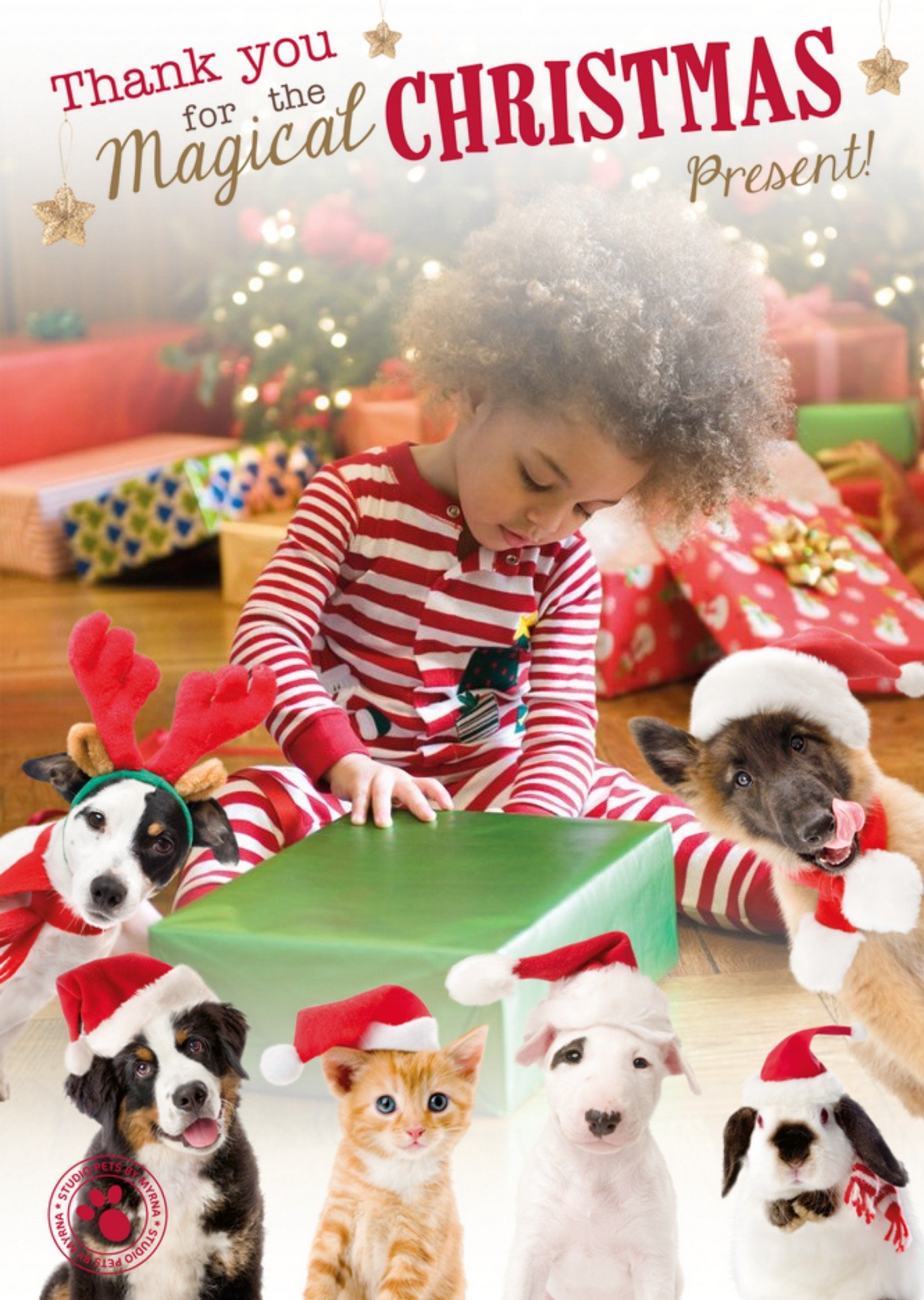 Studio Pets Cute Pets In Santa Hats Photo Upload Christmas Card Ecard
