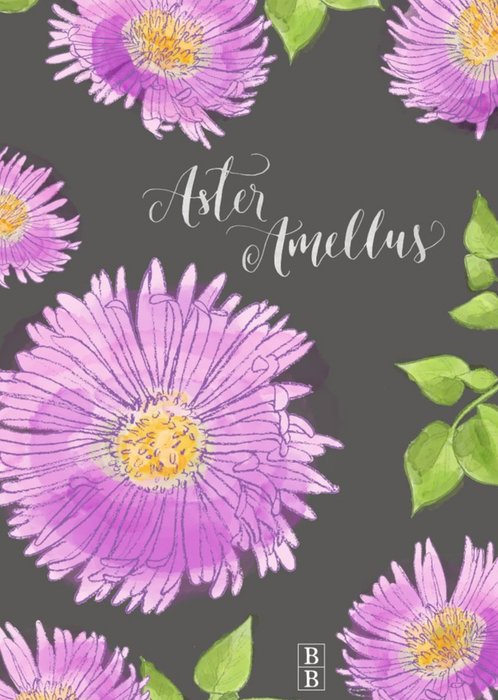 Bright Purple Aster Flower Personalised Card