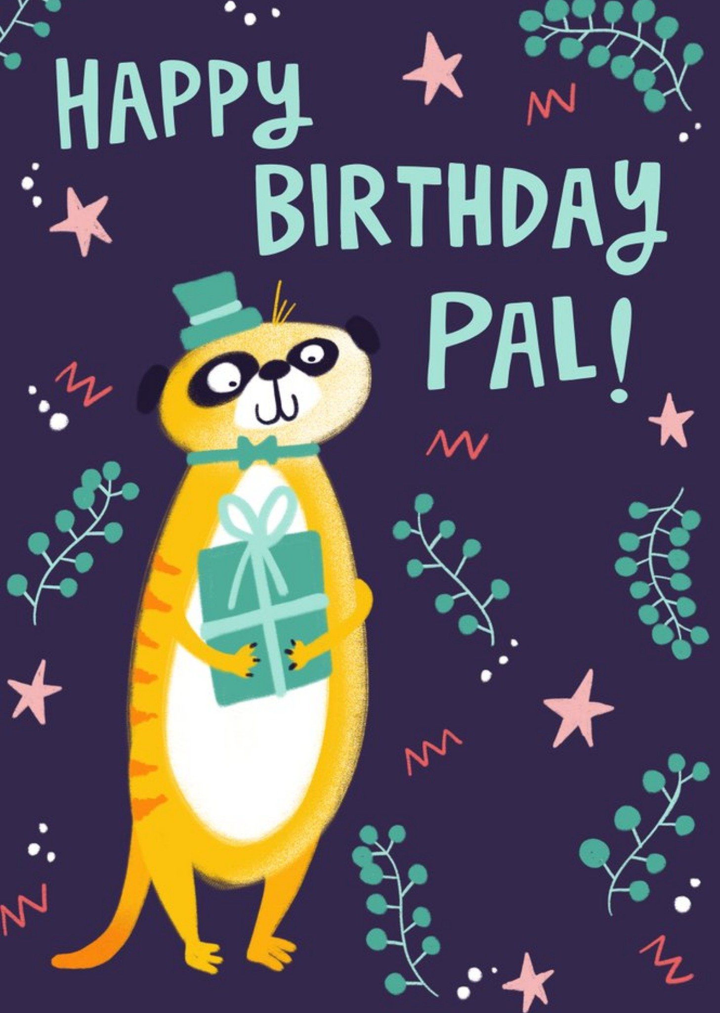 Moonpig Cute Meerkat Happy Birthday Pal Card, Large
