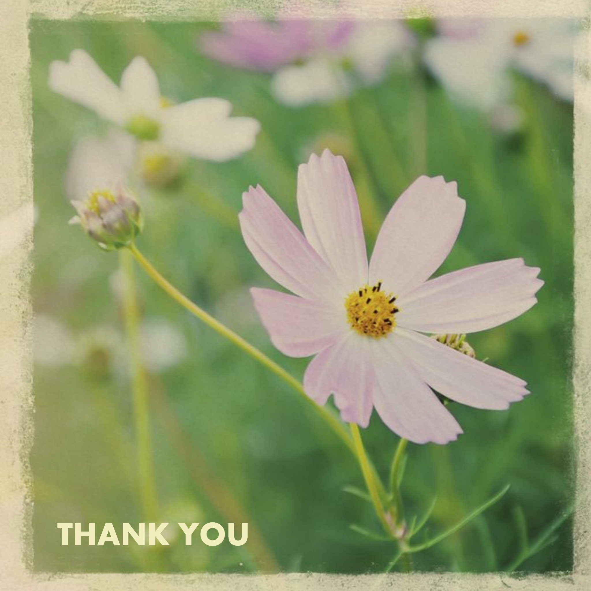 Little Flower Personalised Thank You Card, Square