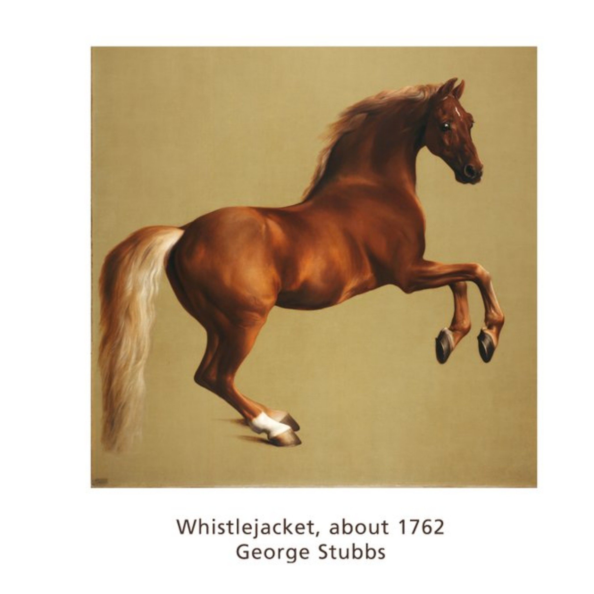 The National Gallery Whistlejacket Birthday Card, Large