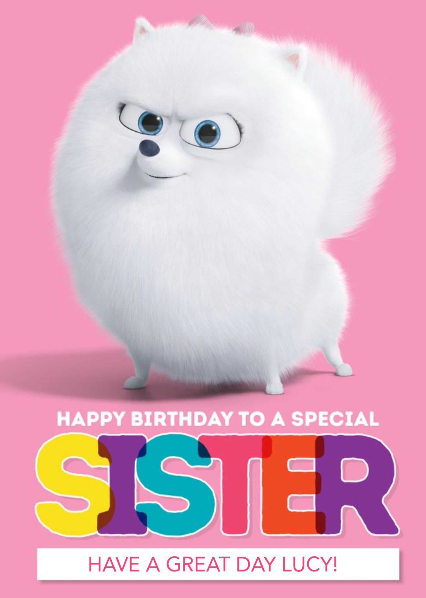 Moonpig The Secret Life Of Pets Happy Birthday Sister Card, Large
