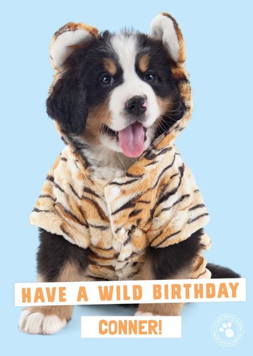 Cute dog wearing a onesie - Personalised Birthday Card