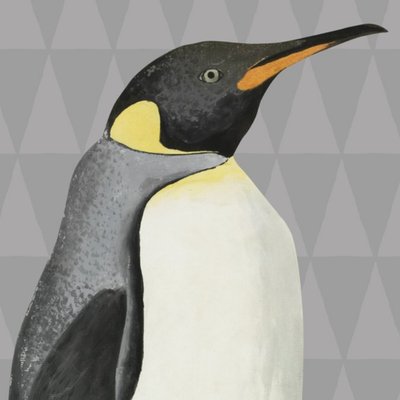 Illustrated Penguin Card