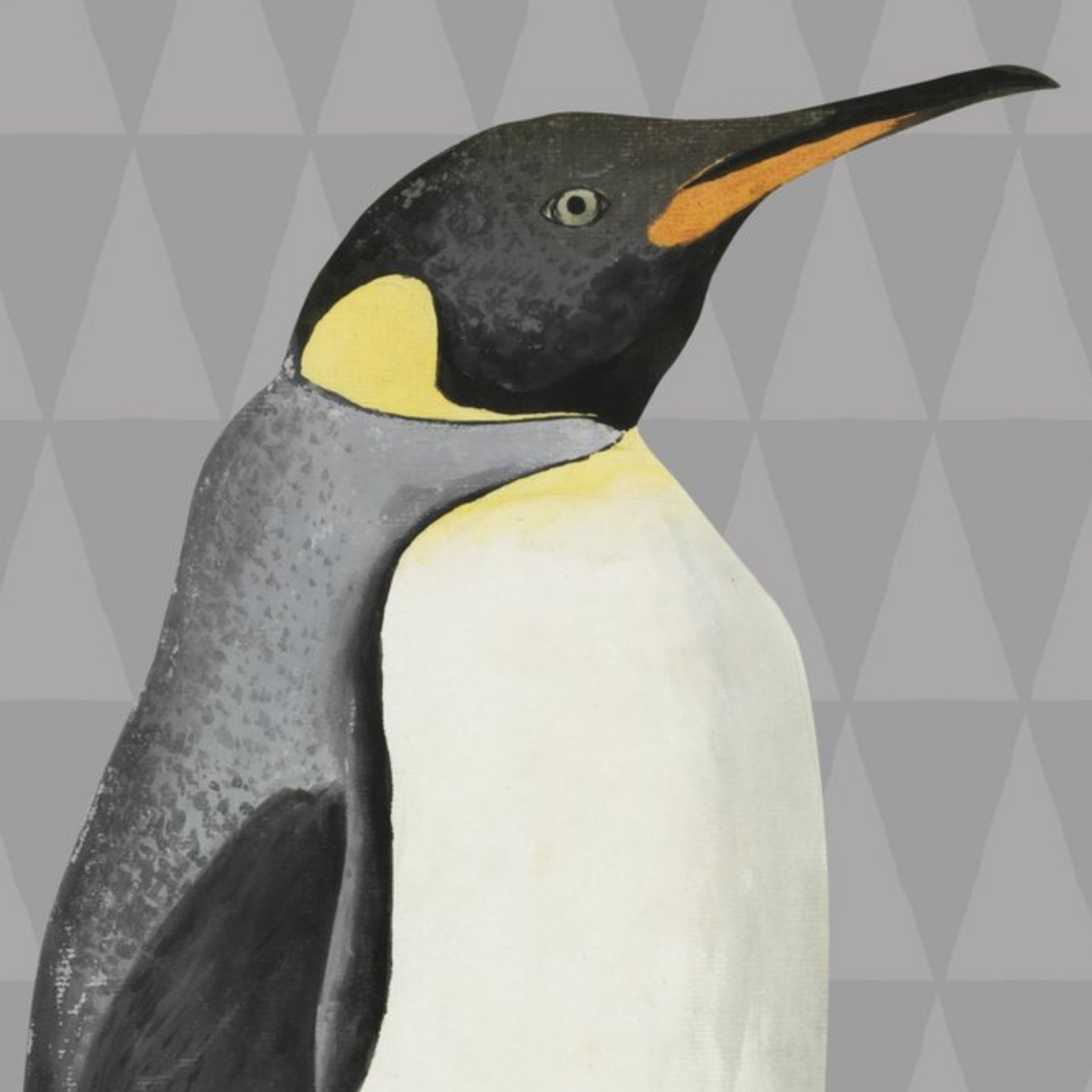 The Natural History Museum Illustrated Penguin Card, Square