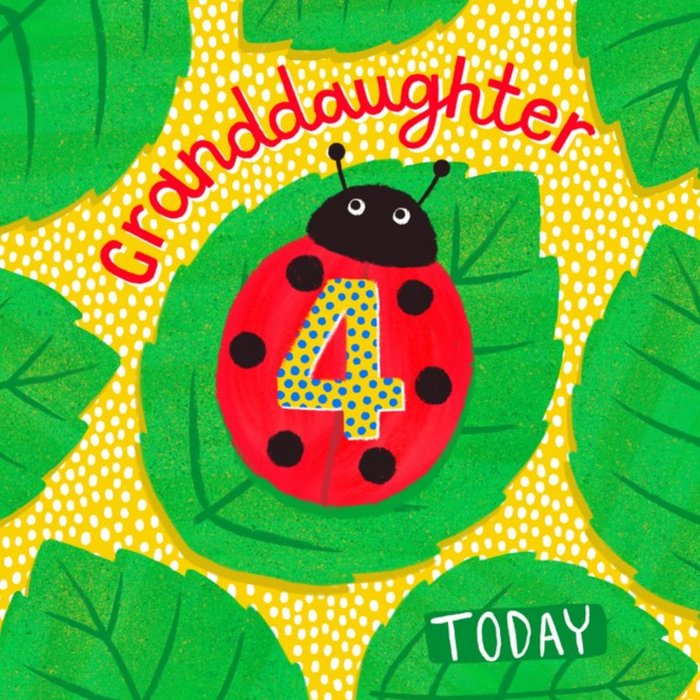 Cute Grandaughter Ladybird 4 Today Birthday Card