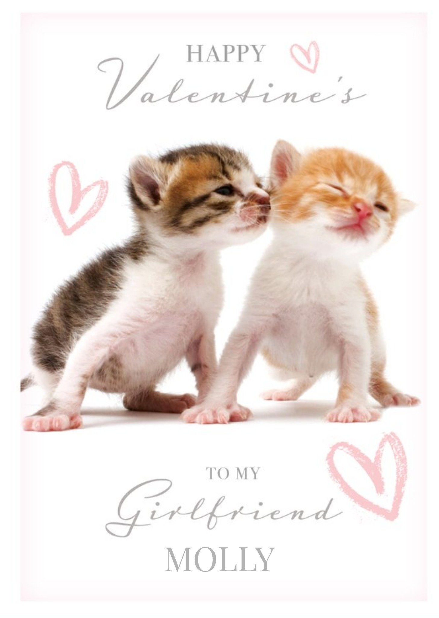 Animal Planet Kitten Girlfriend Valentine's Day Card Ecard