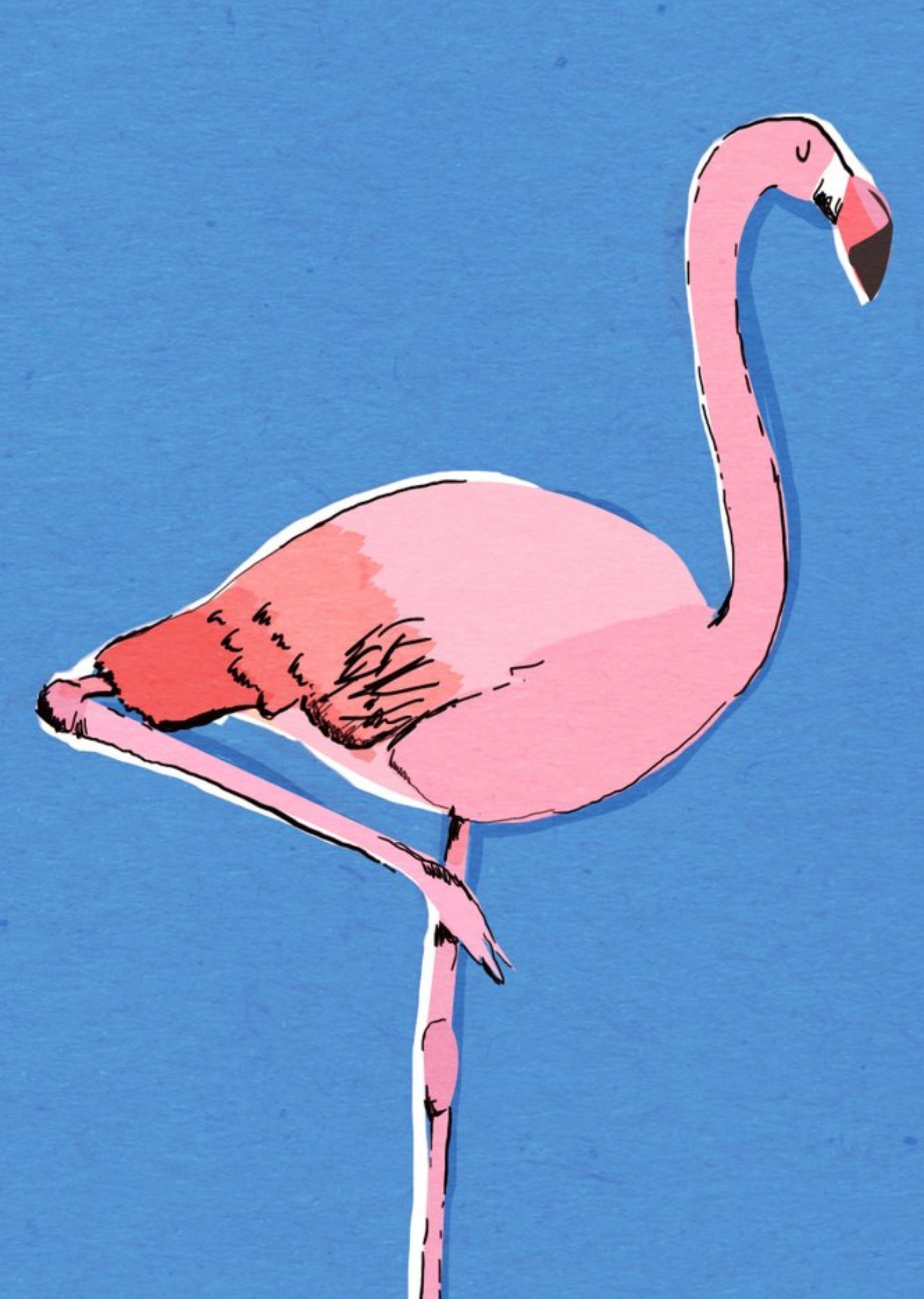 Illustrated Bright Pink Flamingo Card Ecard