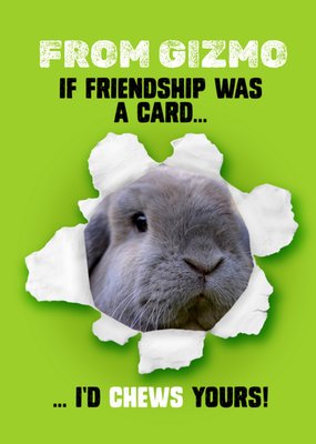 If Friendship Was A Card Photo Upload Card