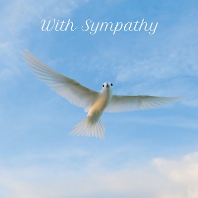 With Sympathy Card Featuring A Peaceful White Bird In Flight