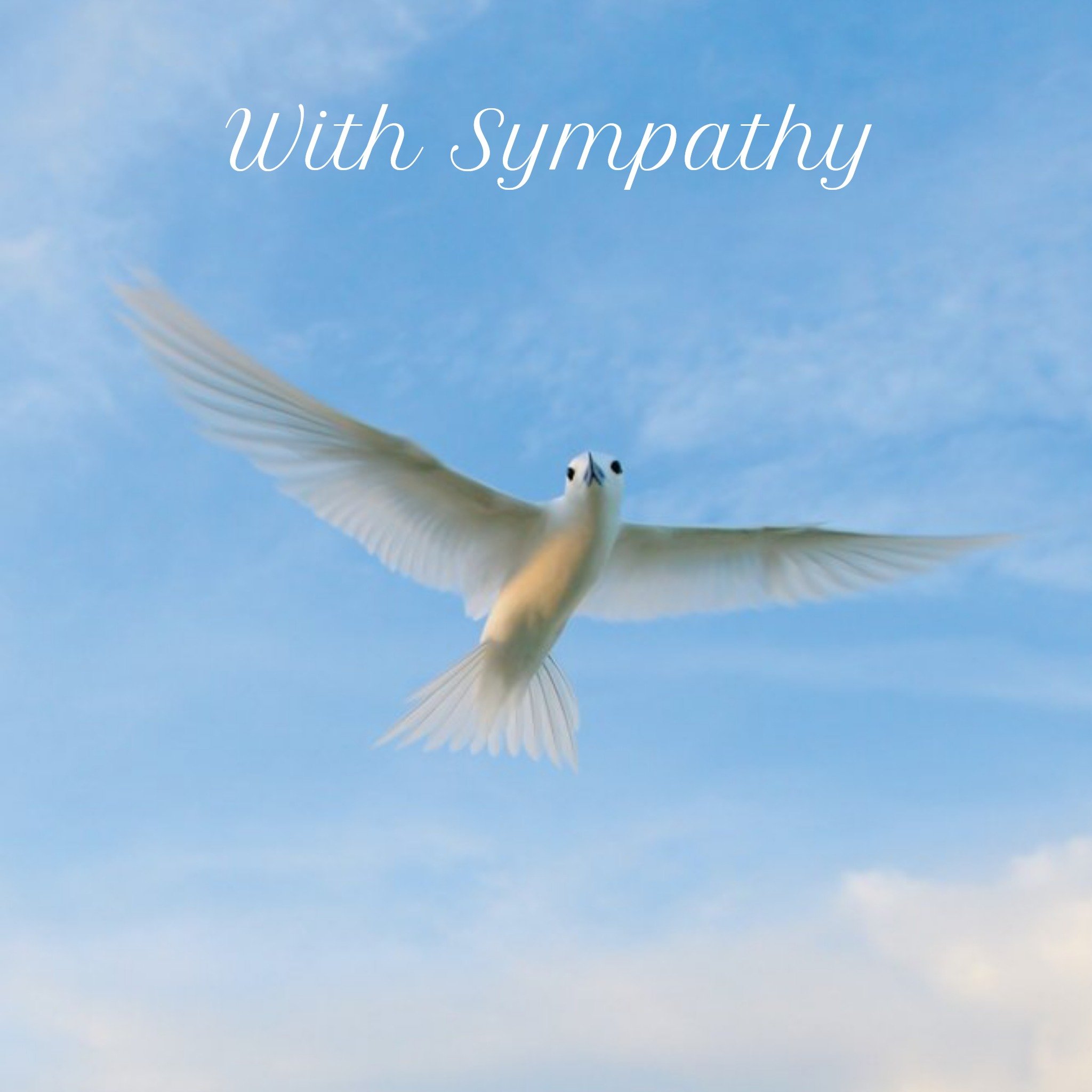 Moonpig With Sympathy Card Featuring A Peaceful White Bird In Flight, Square