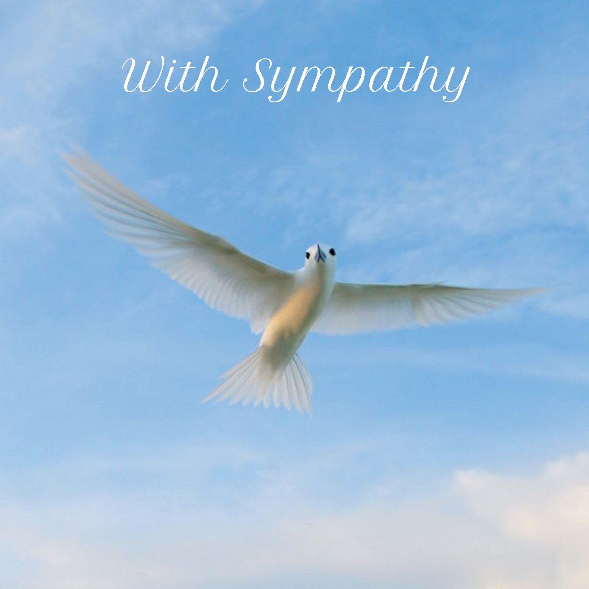 With Sympathy Card Featuring A Peaceful White Bird In Flight, Square