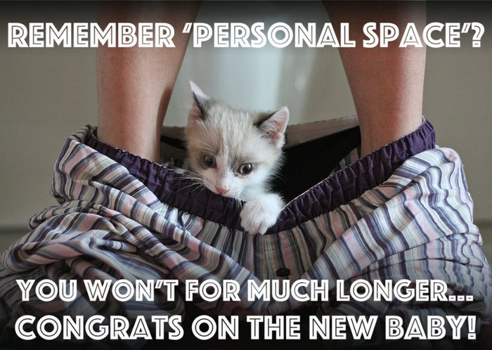 Congrats On The New Baby Kitten Image Card