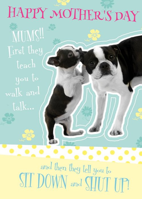 From The Dog On Mothers Day Card