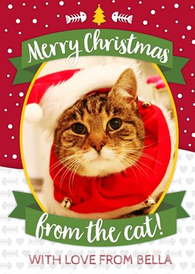 Merry Christmas From The Cat Photo Upload Card