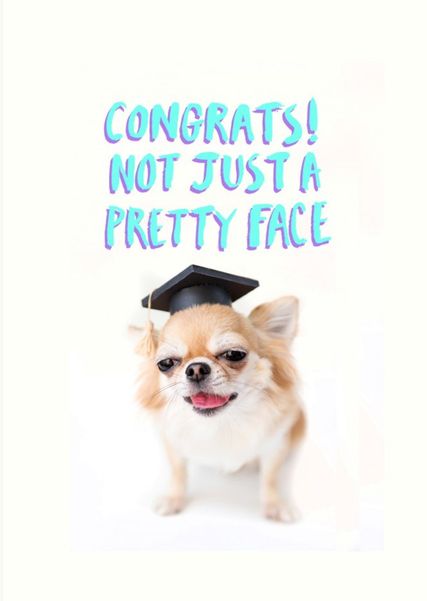 Jolly Awesome Not Just A Pretty Face Graduation Card, Large