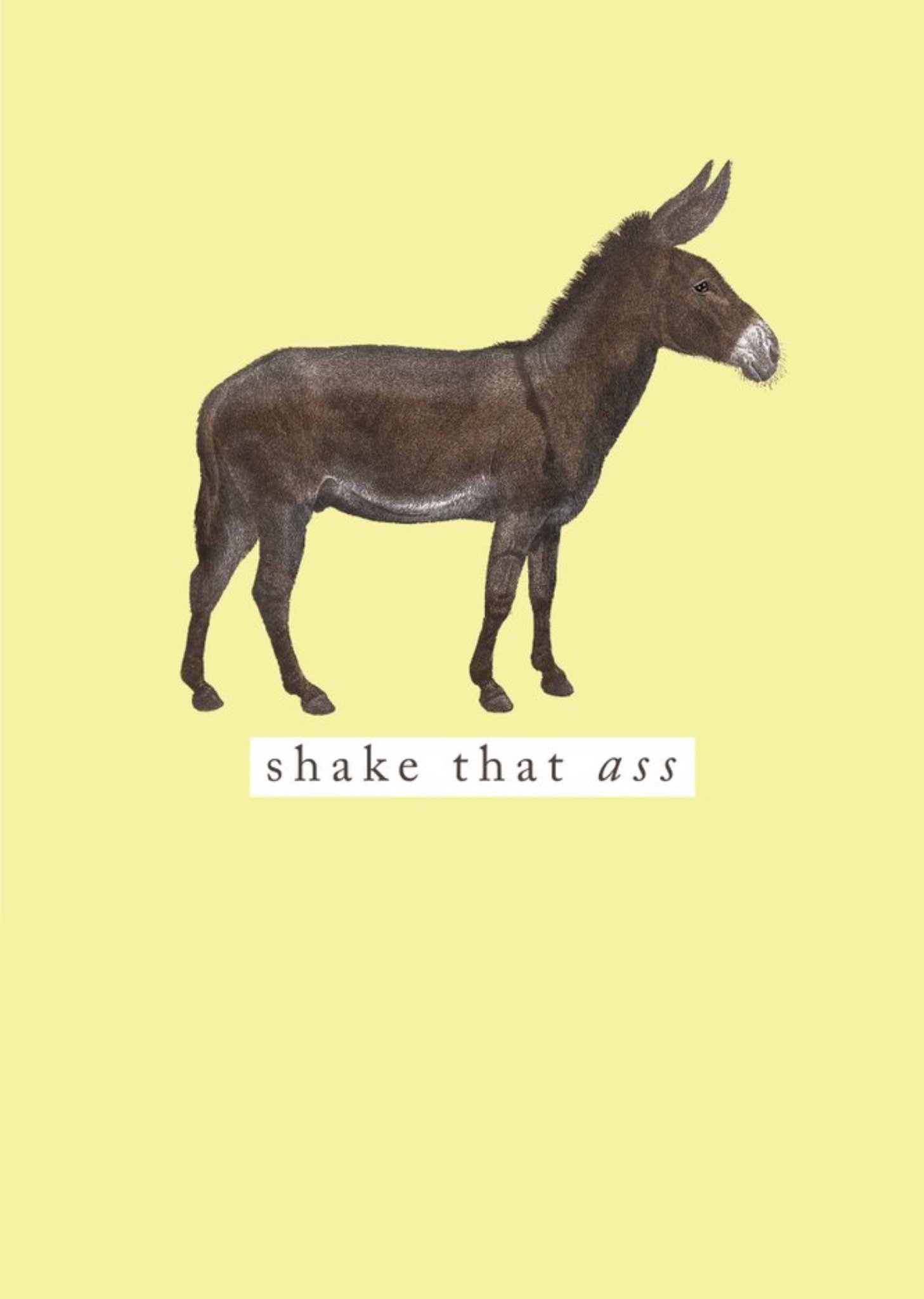 Moonpig Shake That Ass Funny Donkey Card Ecard