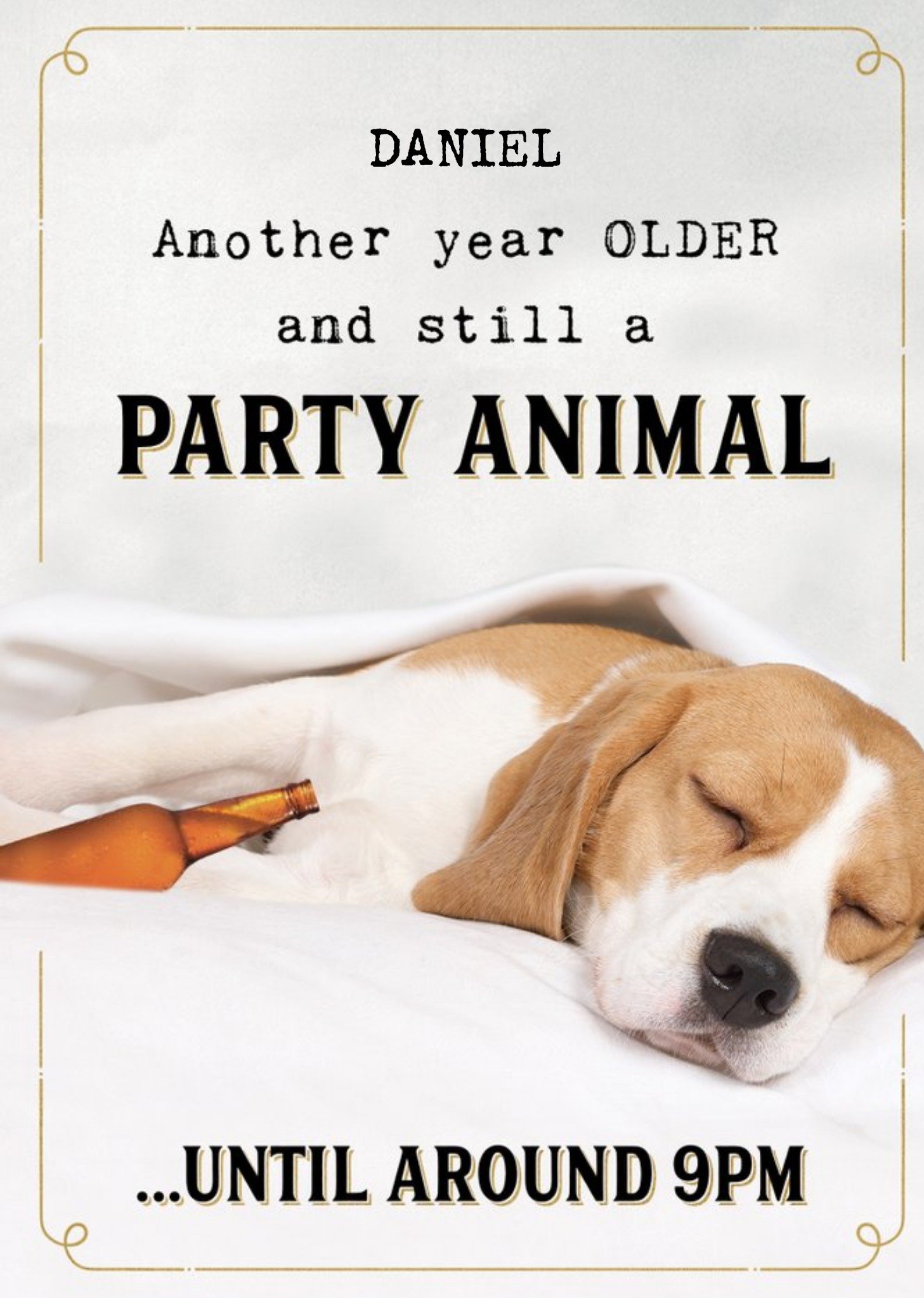 Friends Humorous Photographic Sleeping Dog Birthday Card, Large