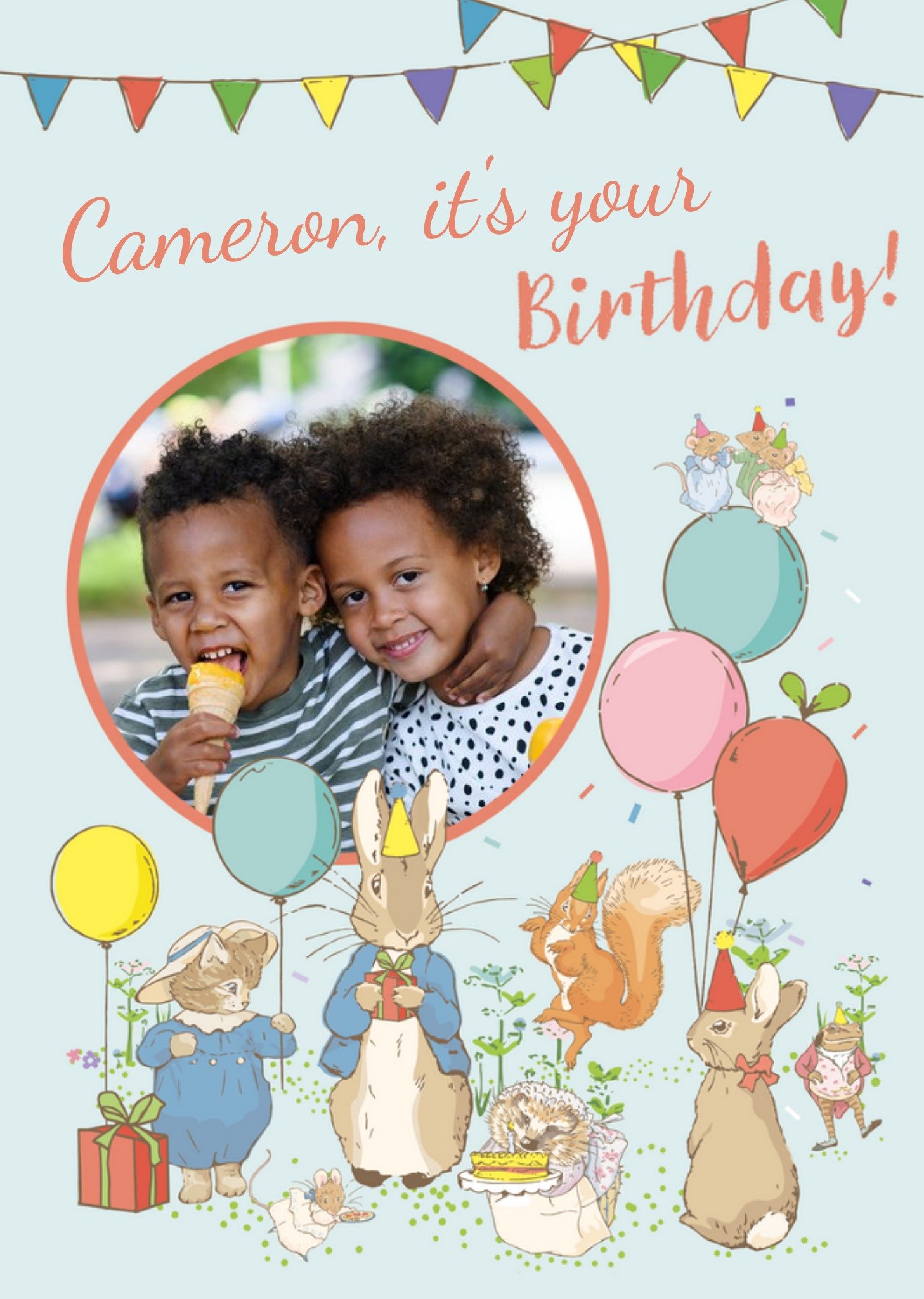 Peter Rabbit And Friends Birthday Party Photo Upload Card, Large