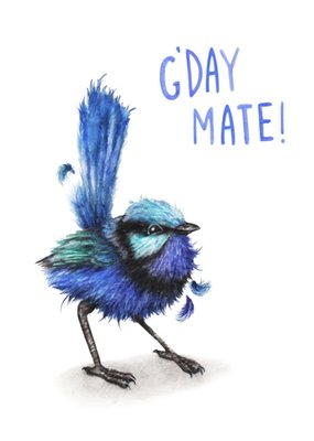 Illustration Of A Blue Wren G'day Mate Friendship Card