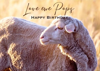 Harmonia Grandad Sheep Traditional Birthday Australia Card