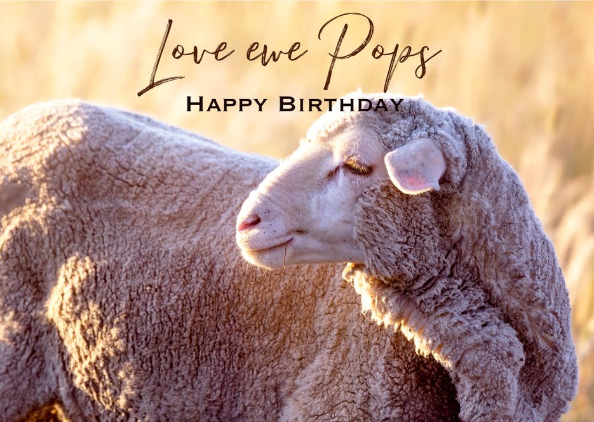 Harmonia Grandad Sheep Traditional Birthday Australia Card Ecard