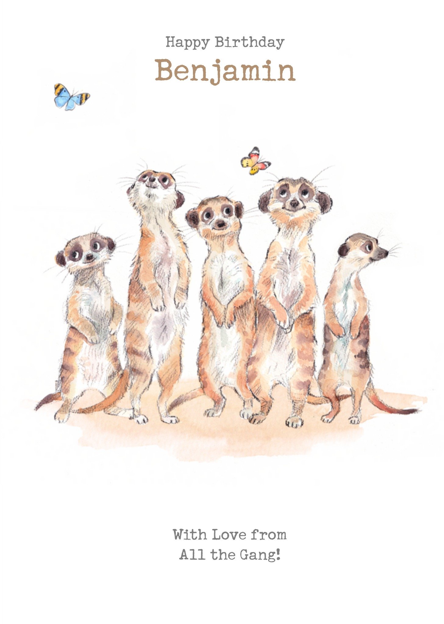 Moonpig Meerkats Birthday Card, Large