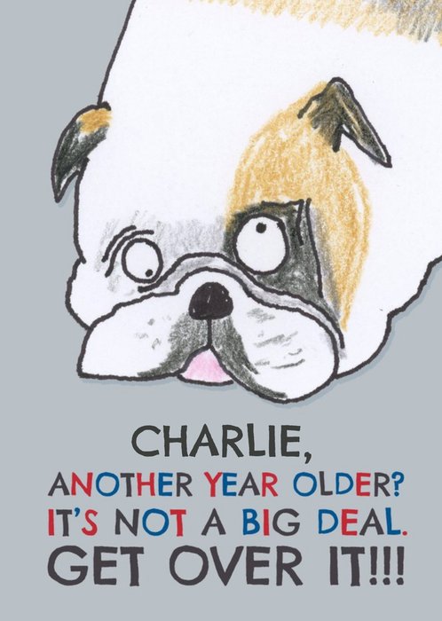 Quirky Illustration Of A Dog Another Year Older! Birthday Card