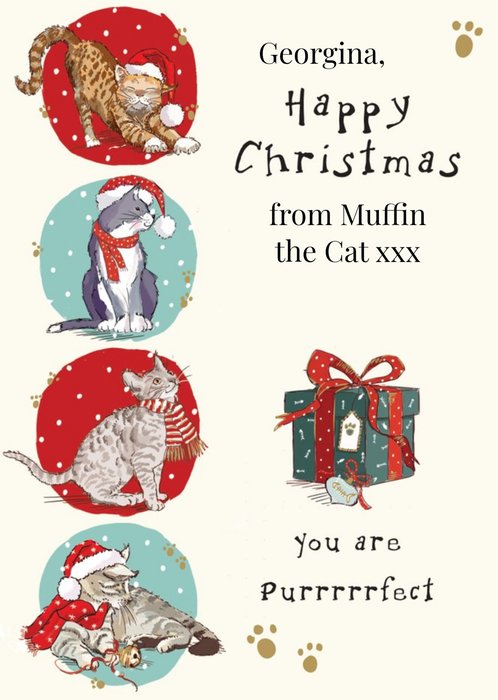You Are Purrrrfect Kitty Personalised Happy Christmas Card