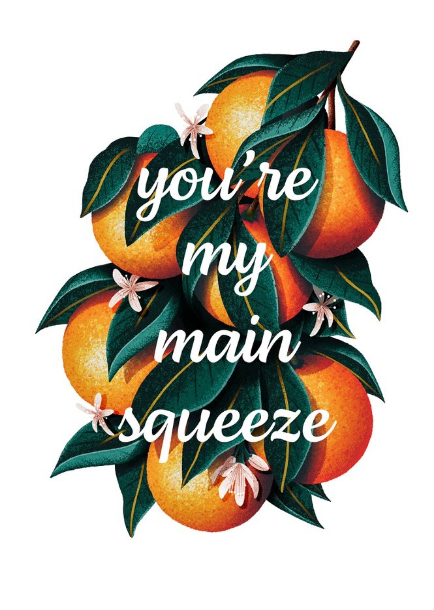 Folio Illustration Of Some Oranges Growing On A Tree. You're My Main Squeeze Birthday Card Ecard