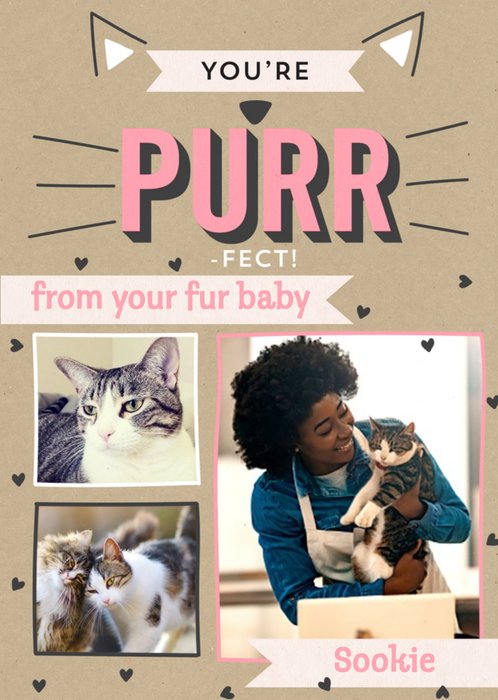From the Cat You're Purrfect Mother's Day Photo Upload Card