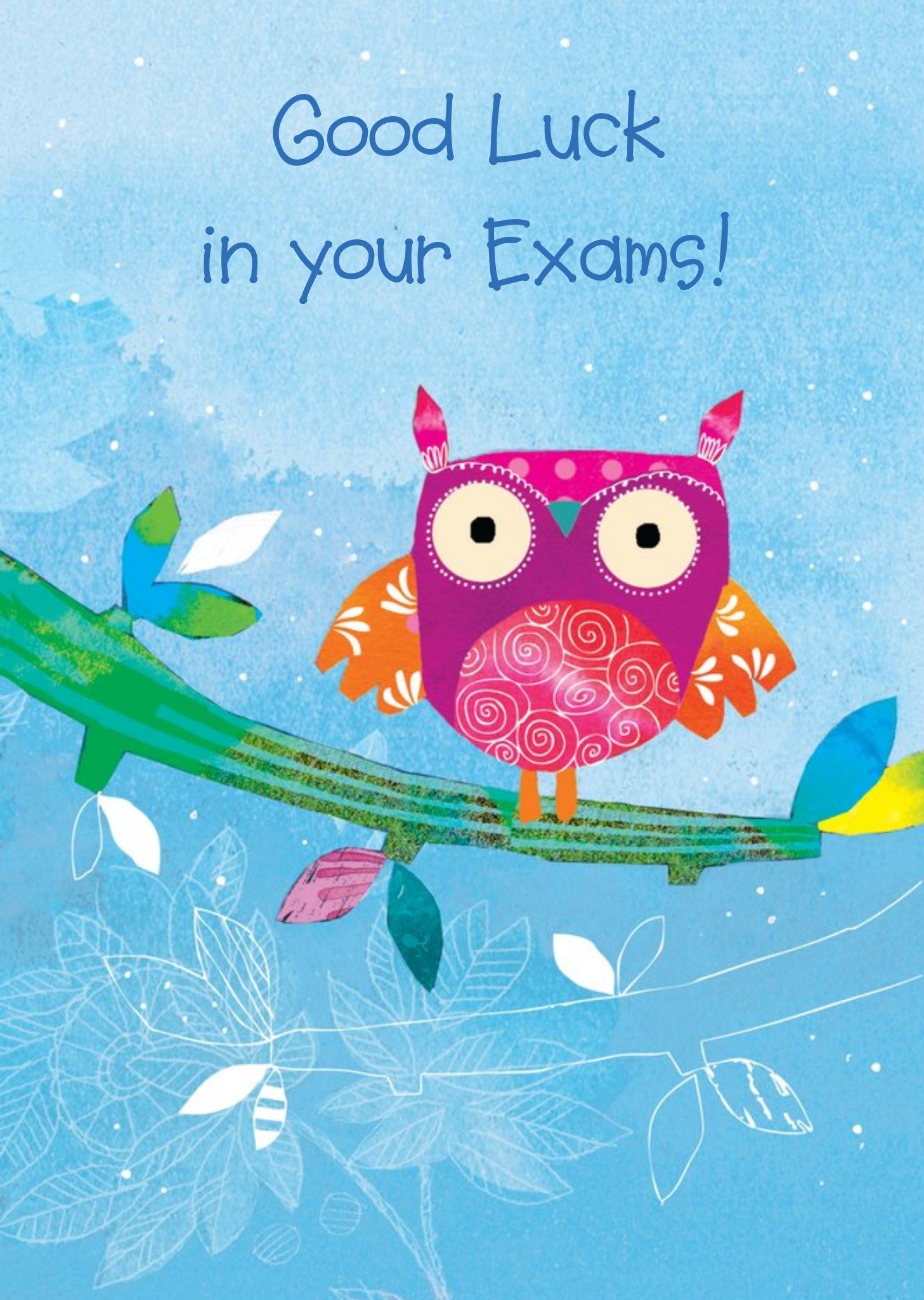 Ling Design Colourful Owl Personalised Good Luck In Your Exams Card Ecard