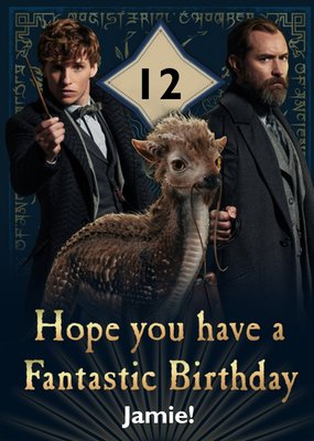 Fantastic Beasts: The Secrets Of Dumbledore 12th Birthday Card
