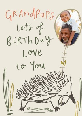 Brushed Up Animals Hedgehog Grandad Birthday Card